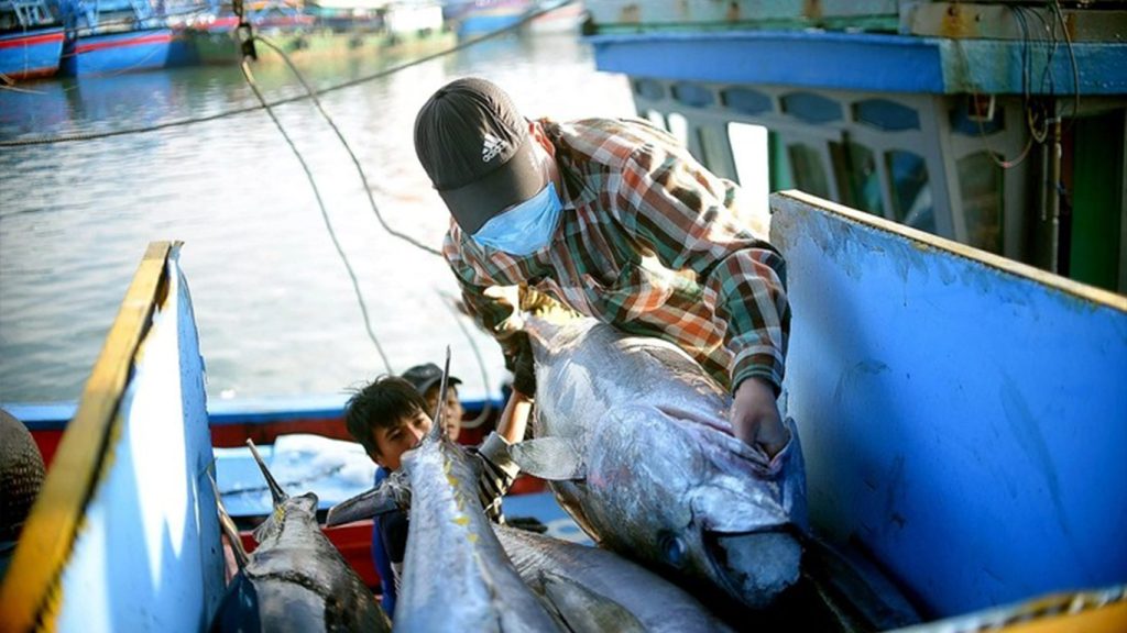 Thủy sản Việt Nam ‘đứng ngồi không yên’ khi Mỹ áp thuế các nước